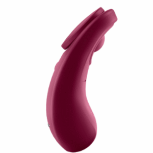 Sexy Secret Panty Rose